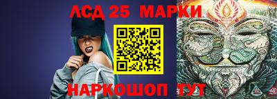шишки Будённовск
