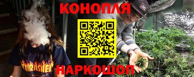 шишки Будённовск