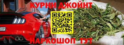 шишки Будённовск