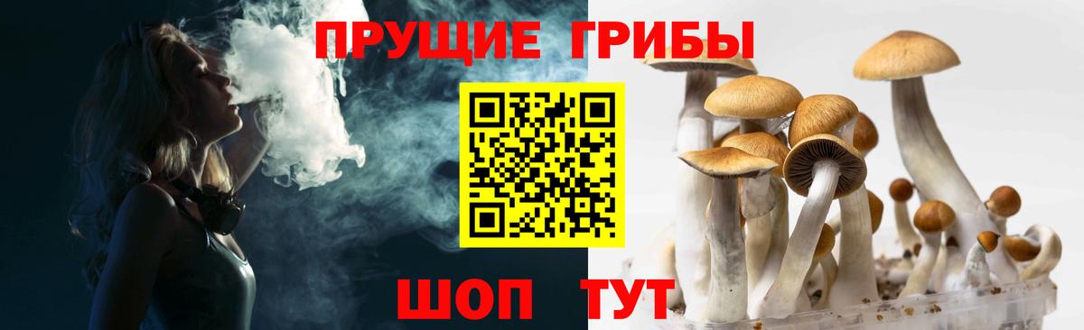 Полевской  Галлюциногенные грибы Psilocybine cubensis  Вход с VPN 